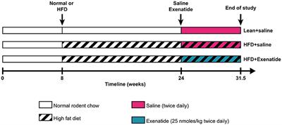 The GLP-1 Receptor Agonist Exenatide Ameliorates Bone Composition and Tissue Material Properties in High Fat Fed Diabetic Mice